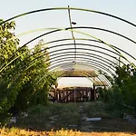 La Colibe, Catun Arhaic Ecologic * Konstanca