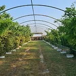 Kemping La Colibe, Catun Arhaic Ecologic *
