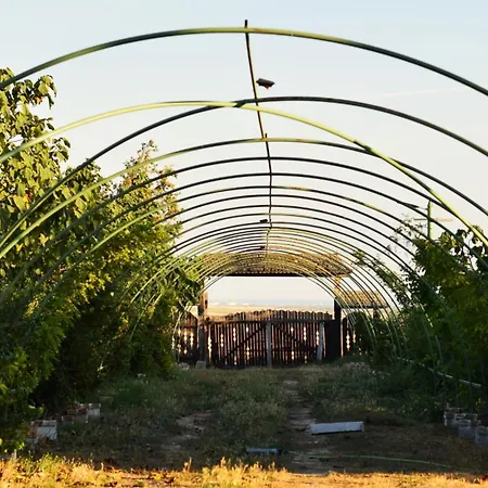 La Colibe, Catun Arhaic Ecologic * קונסטנצה