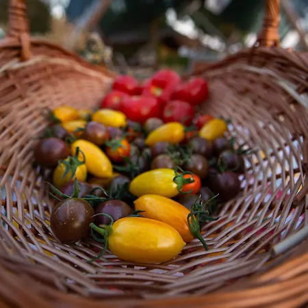 La Colibe, Catun Arhaic Ecologic Kemping