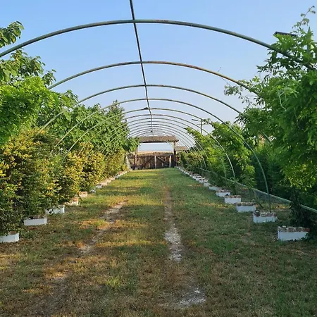 Kemping La Colibe, Catun Arhaic Ecologic *