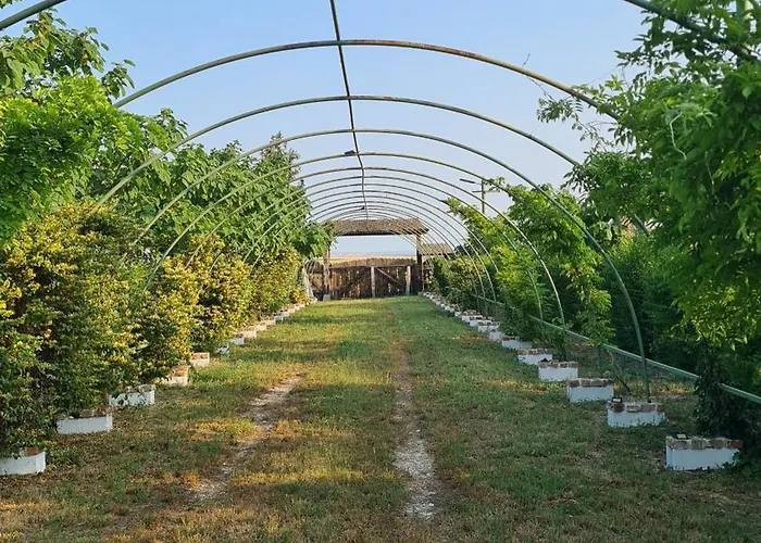 La Colibe, Catun Arhaic Ecologic