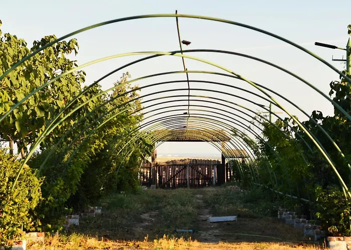 La Colibe, Catun Arhaic Ecologic * コンスタンツァ