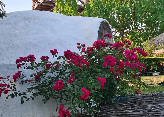 La Colibe, Catun Arhaic Ecologic キャンプ場 *