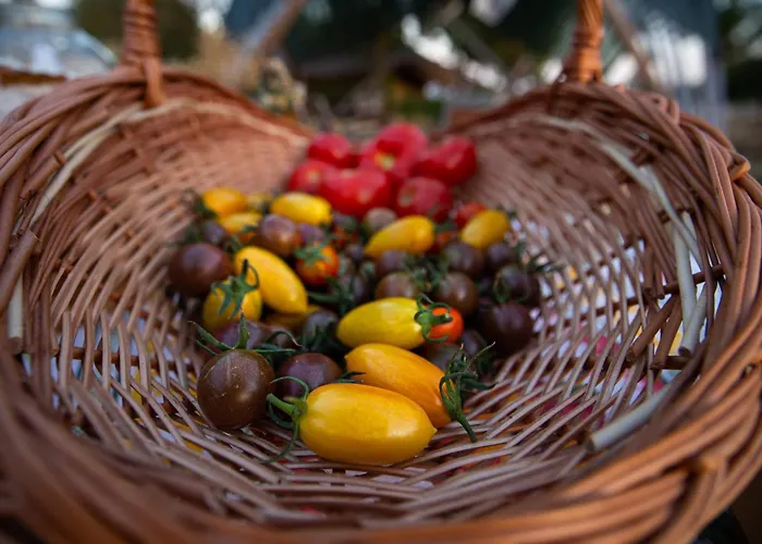 La Colibe, Catun Arhaic Ecologic キャンプ場